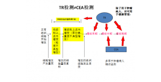 TR与CEA及蛋白图谱的临床应用比较